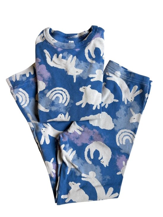 Tea Collection Other - Tea Collection Goodnight Pajama Set PJs (Day Dreaming Print) - Size 10